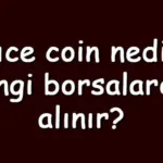 Alıce coin nedir? Hangi borsalardan alınır? Myneighboralice ne zaman çıktı? Ne iş yapar?