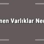 Dönen Varlıklar Nedir? Dönen Varlıklar Nelerdir