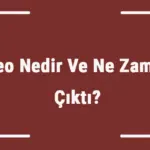 Neo Nedir Ve Ne Zaman Çıktı? Neo Ne Demek? Kripto Para Neo Coin Nasıl Alınır?