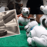 Robot süpürgeler geçmişte kaldı: Yeni asistanlar tehlikeli olabilir