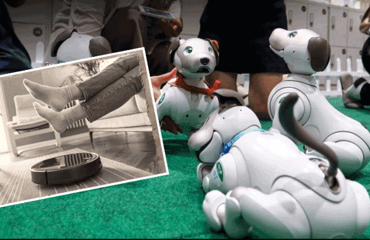 Robot süpürgeler geçmişte kaldı: Yeni asistanlar tehlikeli olabilir