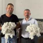 Sezonun ilk pamuğuna 100 lira