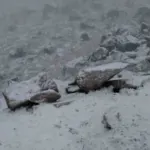 Afyonkarahisar’ın yüksek kesimlerinde kar yağışı