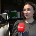 Anne ve çocukları kabusu yaşamıştı! Beyaz eşya firması tazminat ödeyecek
