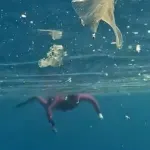 Antalya’da deniz içi plastik kirliliği havadan ve su altından görüntülendi! ‘Bu sularda yüzmeyin’ uyarısı