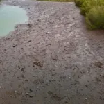 Atıklar, baraj gölü kıyısına aktı