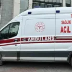 Ceviz toplamaya gitmişti: 82 yaşındaki kadın tarlada ölü bulundu!