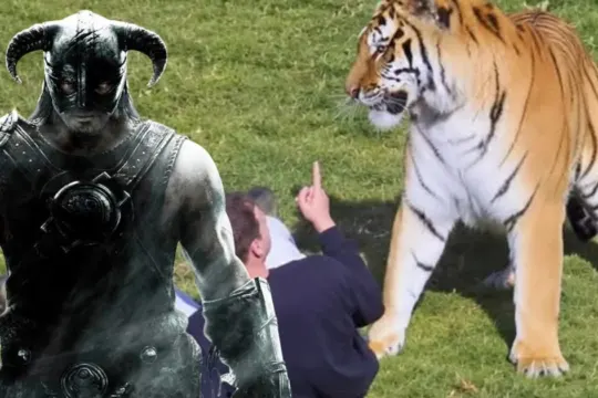 İngiliz Basını Kaplan Kafesine Giren Adam İçin Skyrim'i Suçladı