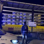 İzmir'de dev kaçak tütün baskını: 125,4 milyon TL'lik malzeme ele geçirildi