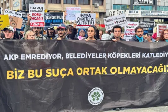 İzmir'de yaşam hakkı savunucularından Ege Üniversitesi kampüsündeki köpeklerin toplatılmasına tepki