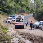Kestane için can verdi