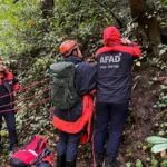 Kestane toplamak için ormana gitti, cansız bedeni bulundu