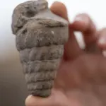 Külhöyük'te bulunan 4 bin yıllık tohumlar Hitit tıbbına ışık tutacak