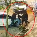 Mardin’de ‘kira’ cinayeti kamerada! Duruşmada amcasını öldürdüğünü kabul etti: Kaç bıçak darbesi vurduğumu hatırlamıyorum