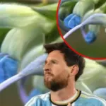 Messi'nin ismi bitkiye verildi!