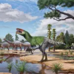 Müzede 100 Yıldır Unutulan Fosil, Yeni Bir Dinozor Türünü Ortaya Çıkardı!
