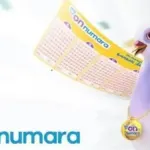 ON NUMARA SONUÇ SORGULAMA EKRANI 16 EKİM: On Numara sonuçları nereden ve nasıl sorgulanır? MPİ On Numara sonuçları öğrenme ekranı