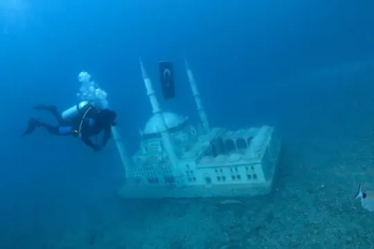 Saros Körfezi'ndeki yapay resifler yaşam alanı oldu