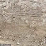 Tarladaki gizemli taş, II. Ramses'e ait dev heykelleri ortaya çıkardı