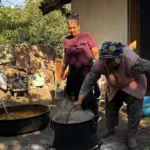 Toros Dağları'ndan toplayıp kazanlara atıyorlar! 'Yapmayan çöpe atmak zorunda kalıyor'