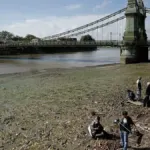 Ünlü Thames Nehri'nden 180 ton ıslak mendil çıkarıldı: Kirlilik azaldı mı?