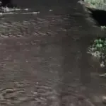 Yenişehir'de tarım arazileri sular altında kaldı