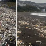 Zonguldak'ta sağanağın ardından denize sürüklenen çöpler kıyıya vurdu