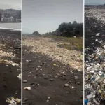 Zonguldak'ta sağanak: Yağmurla birlikte denize sürüklenen çöpler kıyıya vurdu